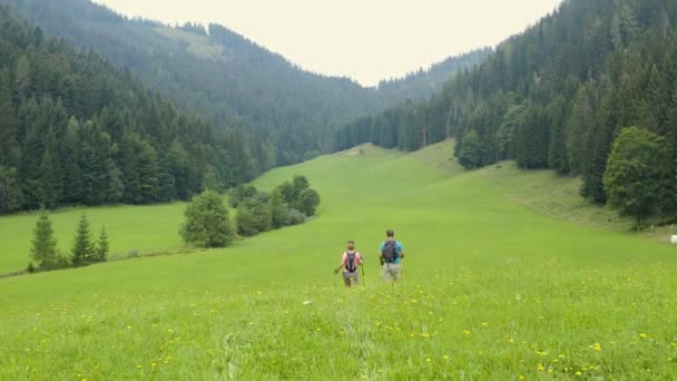 Aerial follow shot of male and female in their late thirties using trekking poles to explore the grassy hills of Topla Natural Park, Slovenia - Footage, Video