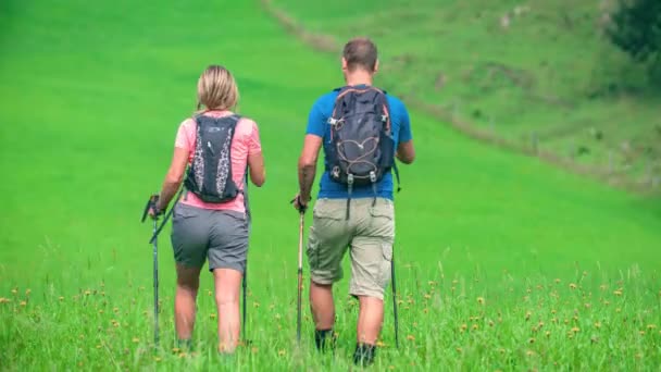 Couple practices trecking over green field. - Footage, Video