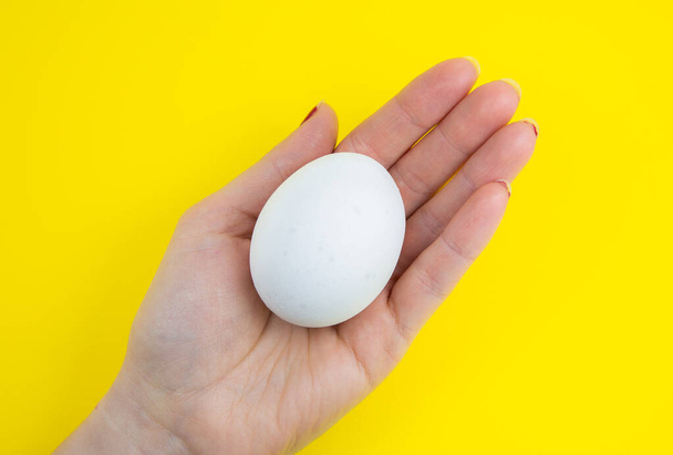 White egg in woman hand on the yellow background. Copy space. Minimalism, original and creative photo. Beautiful wallpaper. Easter holidays. - Photo, Image