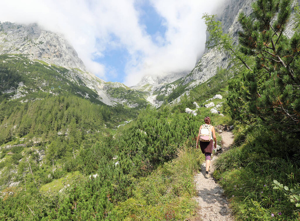 mladá žena kráčí po stezce při turistice v horách mezi Alpami a horskými borovicemi - Fotografie, Obrázek