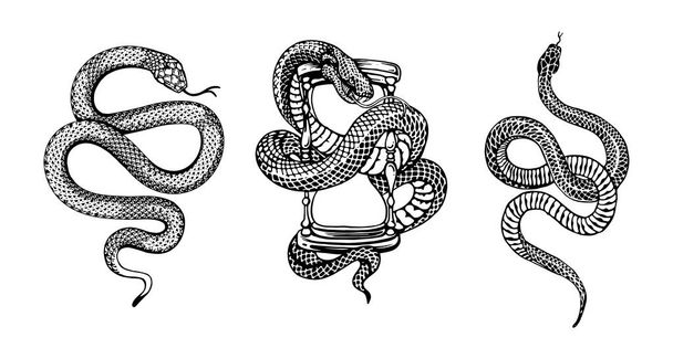 vektorová ilustrace hada - Vektor, obrázek