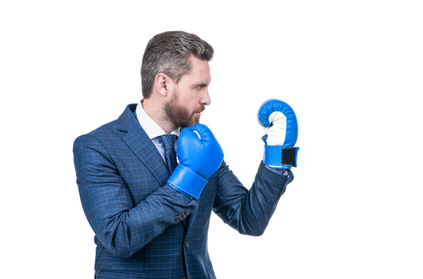 επιχειρηματίας άνδρας με κοστούμι και γάντια πυγμαχίας αγωνίζονται στην εταιρική επιχειρηματική μάχη που απομονώνονται σε λευκό, επιχειρηματική μάχη. - Φωτογραφία, εικόνα
