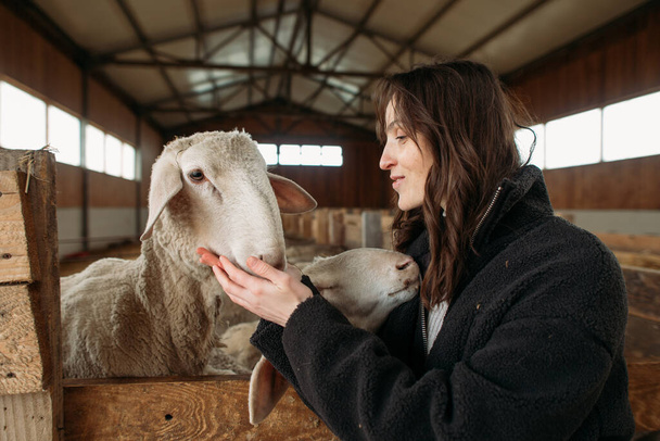 young happy woman on a sheep farm hugging with sheep - Фото, зображення