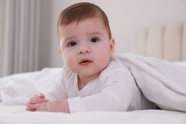Cute little baby in bed under soft blanket indoors - Photo, Image