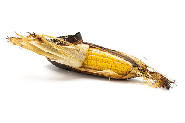 Grilled corn isolated on a white background. - Photo, Image