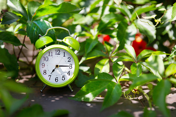 Green alarm clock in the green foliage in nature, shows 7 oclock in the morning. Early morning concept. - Photo, Image