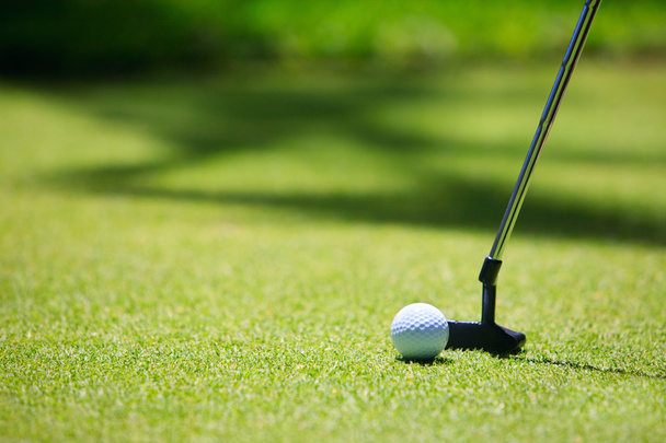 Golf stick and ball on green grass - 写真・画像