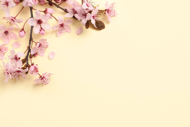 Sakura tree branch with beautiful pink blossoms on beige background, flat lay. Space for text - Fotoğraf, Görsel