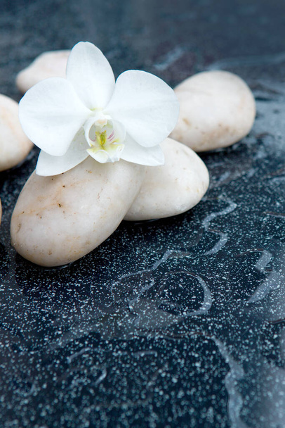 Biała orchidea kwiat i kamień z kroplami wody izolowane - Zdjęcie, obraz