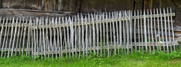 Panorama de vieilles clôtures en bois gris fortement altérées, debout dans l'herbe devant le mur en bois d'une ancienne grange - Photo, image