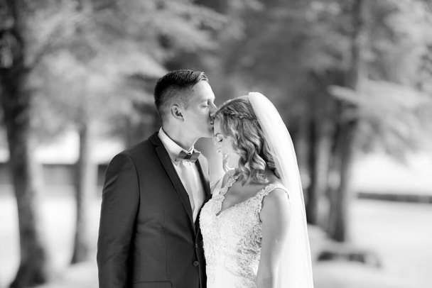 Bräutigam umarmt Braut zärtlich und küsst sie beim Fotoshooting im Park auf die Stirn. - Foto, Bild