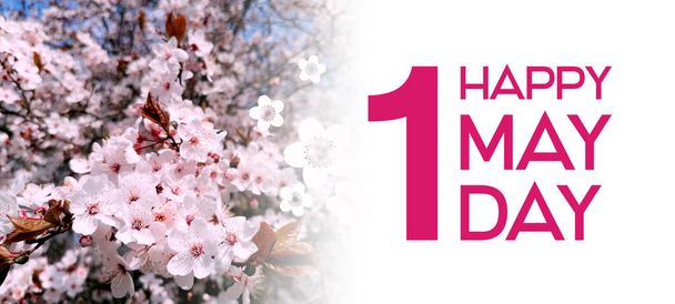 Happy 1 May Day stock images. May Day greeting card with blooming flowers. Happy 1 May Day lettering on a blooming cherry tree background. Important day - Photo, Image
