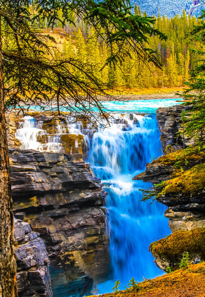 Athabaska Falls, Jasper Nemzeti Park, Alberta, Kanada. - Fotó, kép