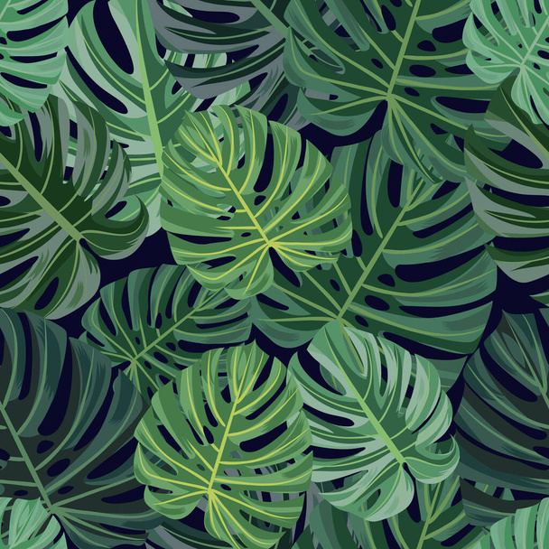 Grünes Blatt von Monstera-Baum-Muster Monstera-Baum-Blatt-Muster immergrüne Liane mit großen geschnitzten Blättern. - Vektor, Bild