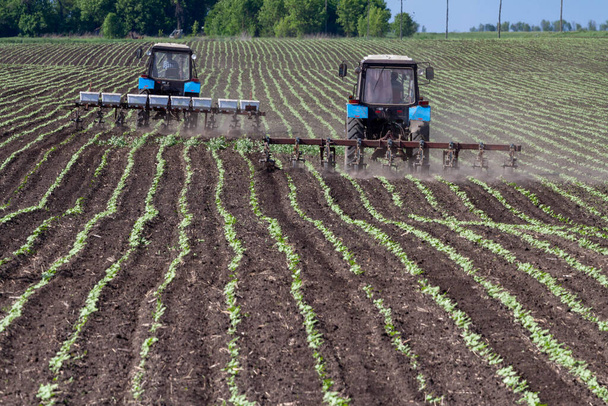 тракторные и сеялки, сеющие урожай на поле - Фото, изображение