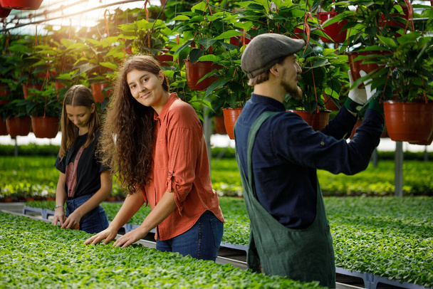 Young team of gardeners working in horticulture. Sunny day in the greenhouse. - Foto, Imagem