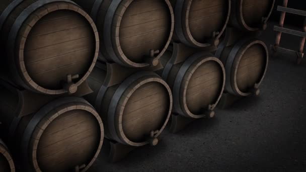 Animación de una sala llena de barricas de vino - Metraje, vídeo
