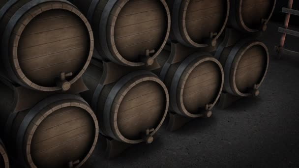 Animación de una sala llena de barricas de vino - Imágenes, Vídeo