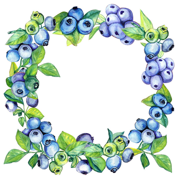 Watercolor wreath of blueberries and leaves. Handmade - Foto, afbeelding