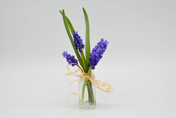 Kleurrijke lentebloemen in een vaas  - Foto, afbeelding