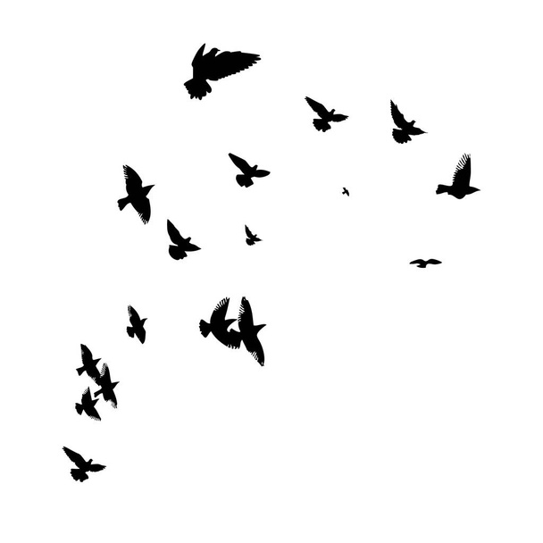 空飛ぶ鳥の群れ。ベクターイラスト - ベクター画像