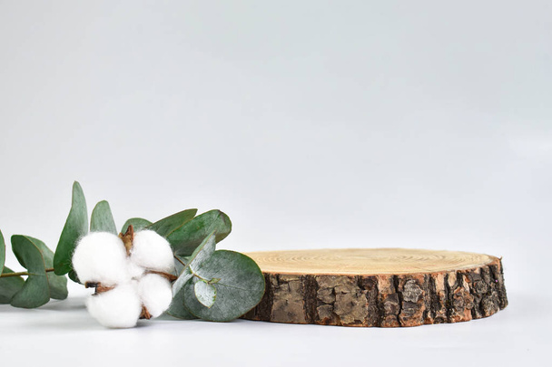 An empty podium for product presentations. A minimalistic scene of a felled tree next to a branch of eucalyptus and inside. Eco-friendly organic natural cosmetics for skin and body care. Copy space. - Photo, Image