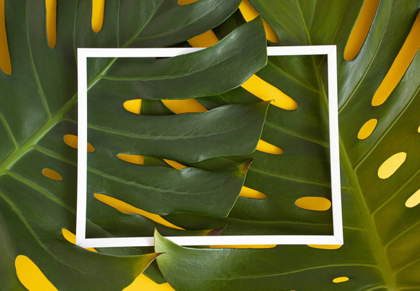 Creative layout made of fresh authentic leaves of philodendron on a vibrant yellow background with white photo frame. Flat lay design. - Photo, Image