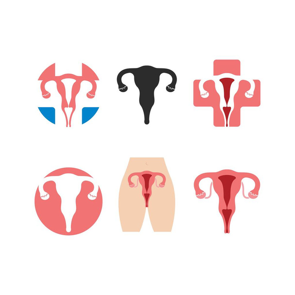 modelo de design de ilustração de vetor de ícone de reprodução feminina - Vetor, Imagem