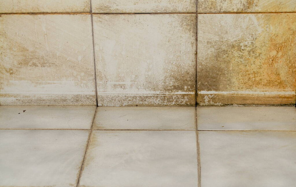 Schmutz auf Fußböden, Wänden und Ecken von Badezimmerfliesen. Rutschig und kann einen Unfall haben. Anhäufung von Krankheitserregern. - Foto, Bild