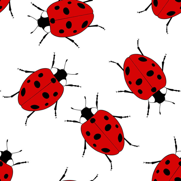 безмордый ladybug фон изолирован на белом - Вектор,изображение