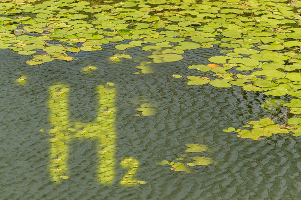 letras de hidrógeno verde h2 y muchas hojas verdes en un estanque con olas - Foto, imagen