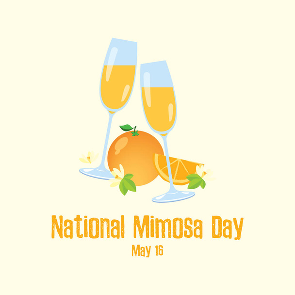 Día Nacional Mimosa vector. Vasos de champán con vector de icono naranja. Vector de brindis de celebración de Mimosa. Bebida mixta con zumo de naranja. Cartel del Día de Mimosa, 16 de mayo. Día importante - Vector, imagen