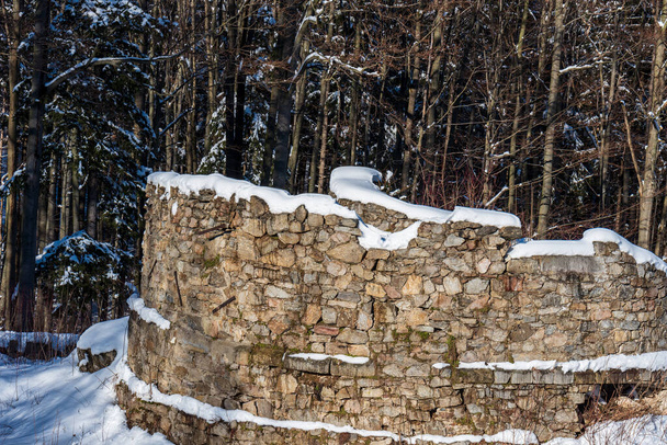 vár romok fal fák körül - Rychleby vár romjai közelében Javornik város télen Rychlebske hory hegyek Cseh Köztársaság - Fotó, kép