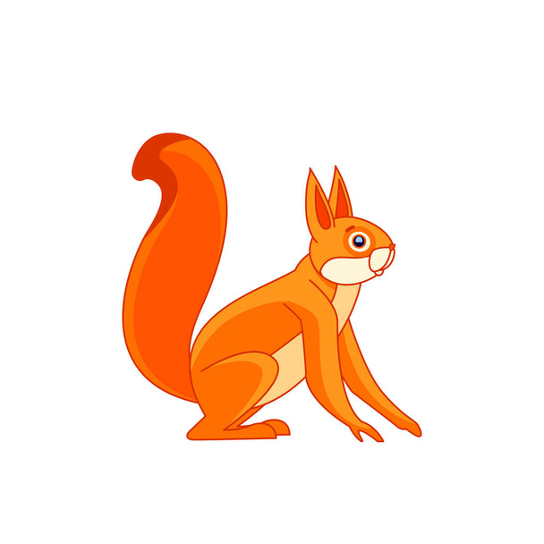 A mókus furcsán néz. Egy rágcsáló emlős állat rajzfilmfigurája. Egy vadon élő, narancsszínű szőrös erdei lény. Oldalnézetből. Vektor lapos illusztráció elszigetelt fehér alapon - Vektor, kép