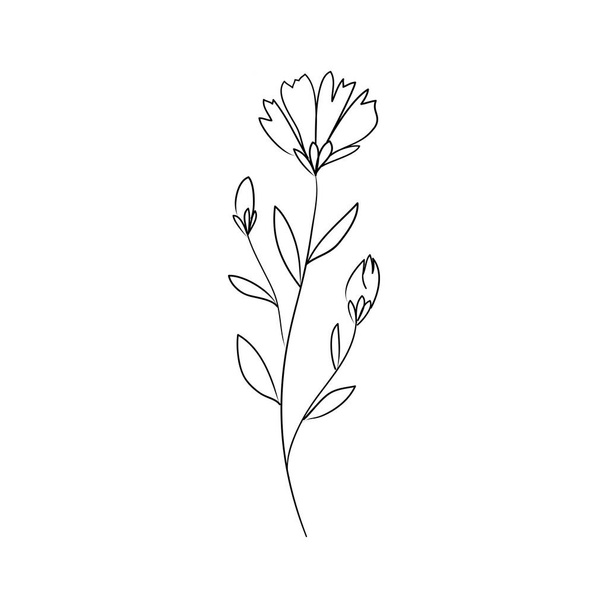 Sketch a leaf branch by hand on an isolated background. Vector, illustration - Vektör, Görsel