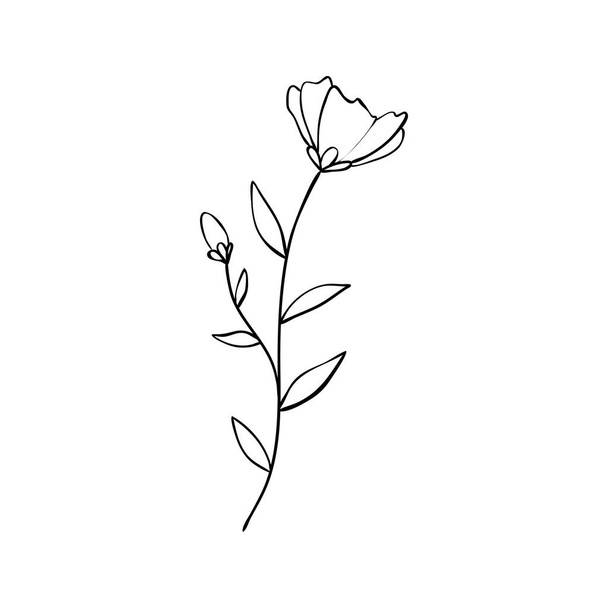 Sketch a leaf branch by hand on an isolated background. Vector, illustration - Vector, Image