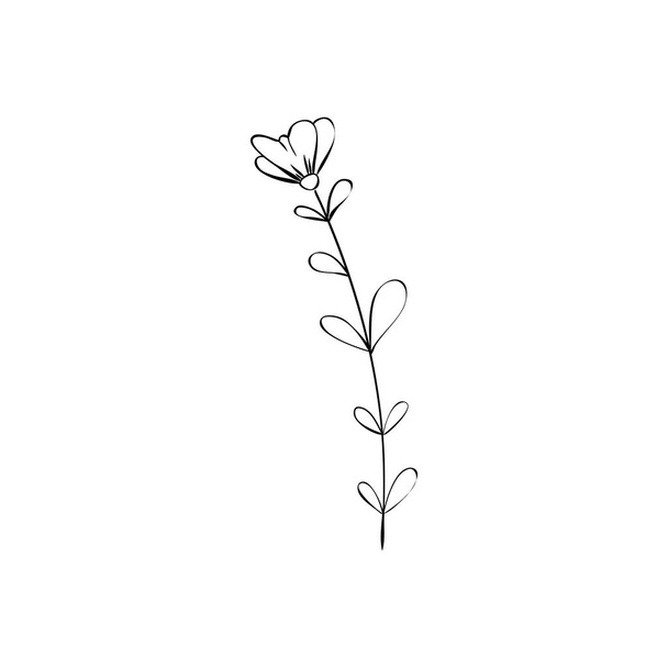 Sketch a leaf branch by hand on an isolated background. Vector, illustration - Vetor, Imagem