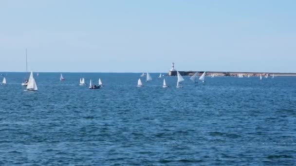 Windsurfen segelt auf dem blauen Meer in Sewastopol, Krim. - Filmmaterial, Video