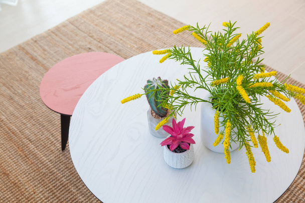 kaktusy i wazon kwiatowy na białym stole w kolorowym salonie. - Zdjęcie, obraz