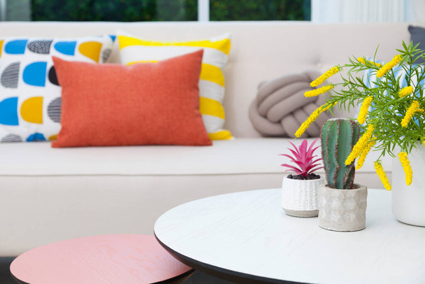kaktusy i wazon kwiatowy na białym stole w kolorowym salonie. - Zdjęcie, obraz
