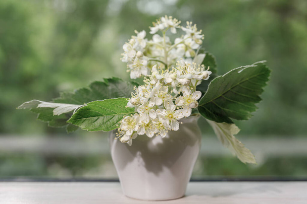 The white blossoms of the mountain ash close up. White flowers in a small white vase on a blurred green background for design on the theme of spring, spring wedding, decor. Copy space. - Foto, immagini