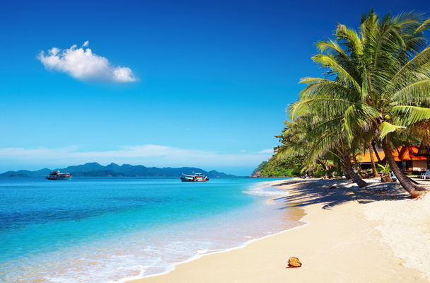 Tropisch strand met kokospalmen en bungalow, Thailand - Foto, afbeelding