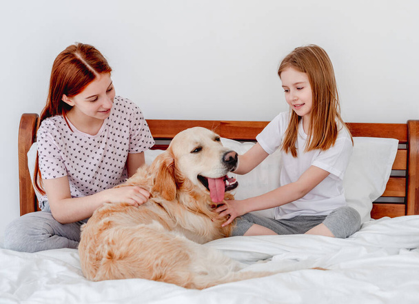 Girls with golden retriever dog in the bed - Zdjęcie, obraz
