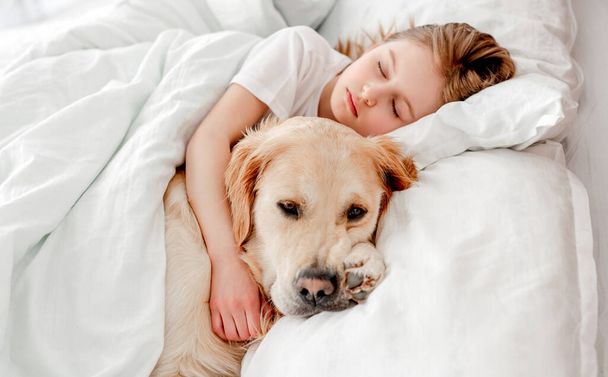 Dziewczyna z psem golden retriever w łóżku - Zdjęcie, obraz