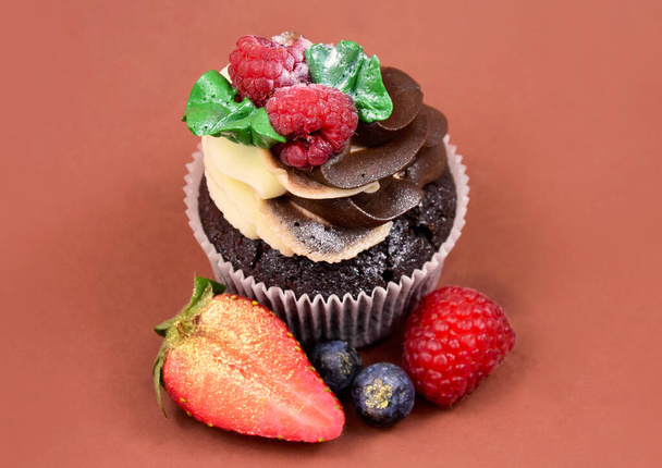 Ahududulu çikolatalı kek hala hayat dolu. Kahverengi bir fotografta meyveli lezzetli kremalı kek. Böğürtlenli taze kek. - Fotoğraf, Görsel