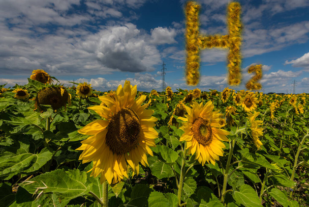 bloemrijke h2 waterstof letters boven zonnebloemen elektriciteit pylonen en prachtige hemel - Foto, afbeelding