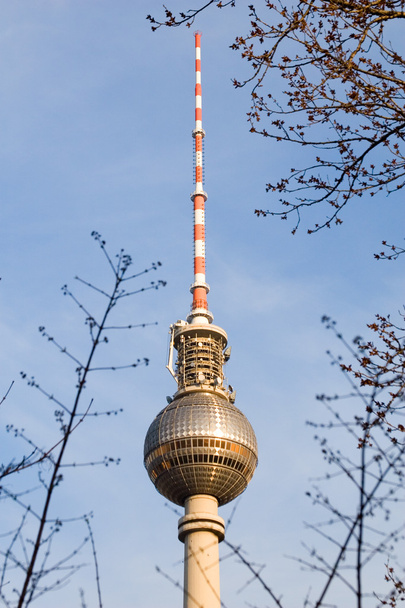 wieża telewizyjna w Berlinie - Zdjęcie, obraz