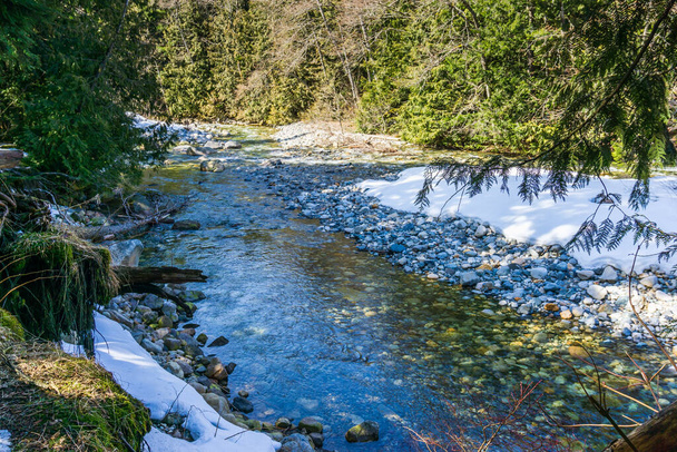 La neige borde la rive du ruisseau Denny dans l'État de Washington. - Photo, image