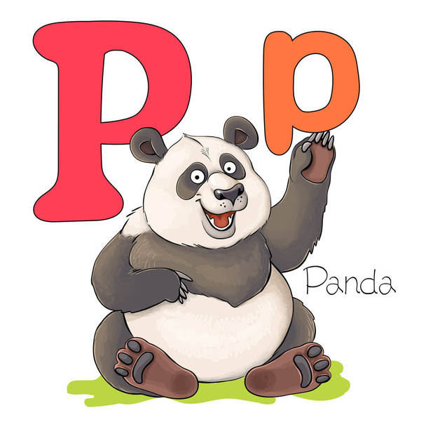 Illustration vectorielle. Alphabet avec des animaux. Grande lettre majuscule P avec une image d'un panda mignon lumineux. - Vecteur, image