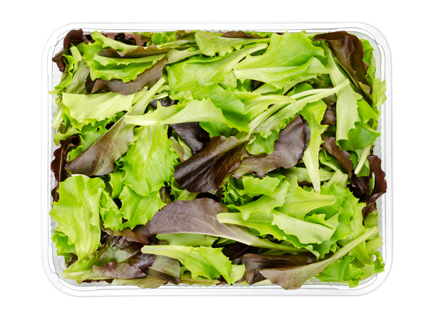 Frissen szedett laza leveles saláta, piros és zöld levelű plüss saláta, műanyag tartályban, felülről. Is szedés vagy lazább saláta, használt saláták és díszítés. Elkülönítve a fehér élelmiszer fotó felett. - Fotó, kép